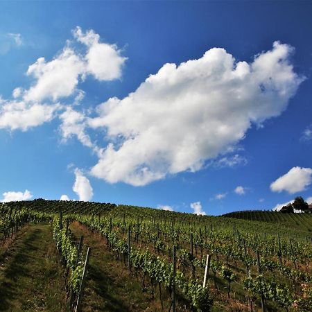 Weingut - Ferienhaus Sonja Rohrbacher Gamlitz Exterior foto